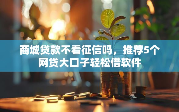 商城贷款不看征信吗，推荐5个网贷大口子轻松借软件
