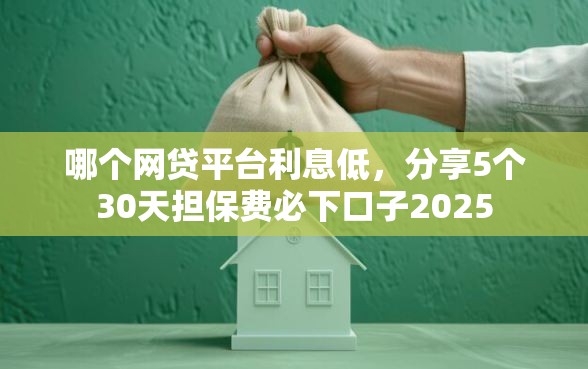 哪个网贷平台利息低，分享5个30天担保费必下口子2025