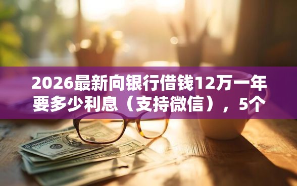 2026最新向银行借钱12万一年要多少利息（支持微信），5个黑户高炮不审核的口子无私分享