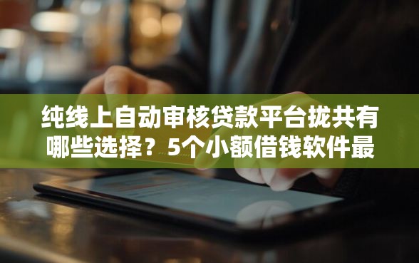 纯线上自动审核贷款平台拢共有哪些选择?5个小额借钱软件最好借到钱的详解 纯线上自动审核贷款平台拢共有哪些选择?5个小额借钱软件最好借到钱的详解