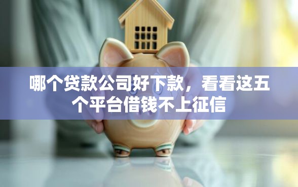 哪个贷款公司好下款，看看这五个平台借钱不上征信