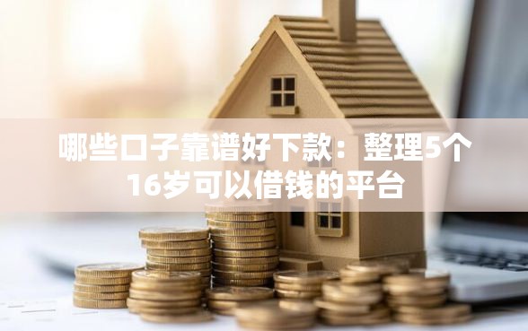 哪些口子靠谱好下款：整理5个16岁可以借钱的平台