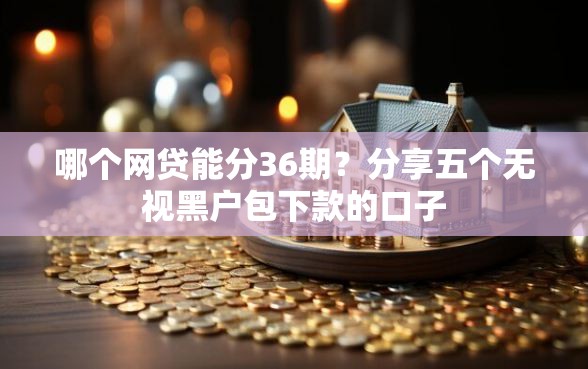 哪个网贷能分36期？分享五个无视黑户包下款的口子