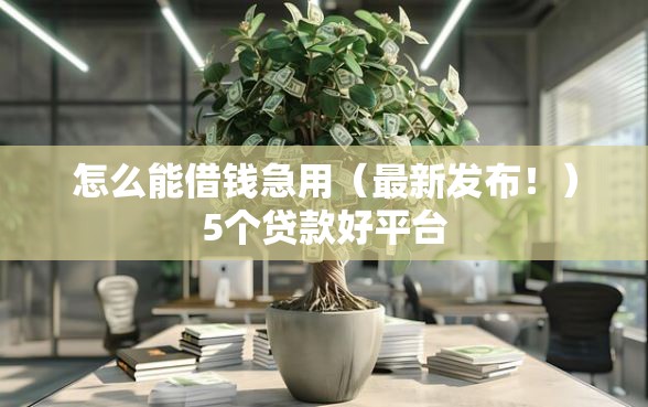 怎么能借钱急用（最新发布！）5个贷款好平台