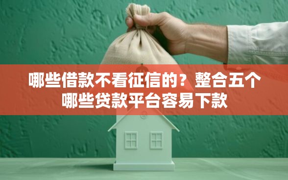 哪些借款不看征信的？整合五个哪些贷款平台容易下款