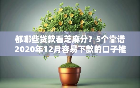 都哪些贷款看芝麻分？5个靠谱2020年12月容易下款的口子推荐