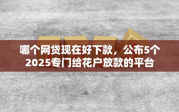 哪个网贷现在好下款，公布5个2025专门给花户放款的平台