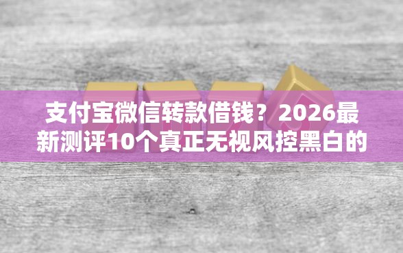 支付宝微信转款借钱？2026最新测评10个真正无视风控黑白的网贷软件