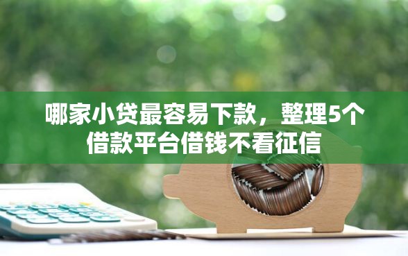 哪家小贷最容易下款,整理5个借款平台借钱不看征信 哪家小贷最容易下款,整理5个借款平台借钱不看征信