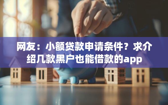 网友：小额贷款申请条件？求介绍几款黑户也能借款的app