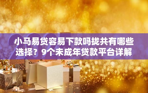 小马易贷容易下款吗拢共有哪些选择？9个未成年贷款平台详解