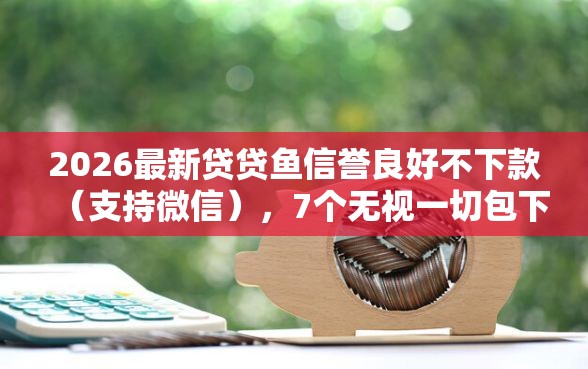 2026最新贷贷鱼信誉良好不下款（支持微信），7个无视一切包下款口子无私分享