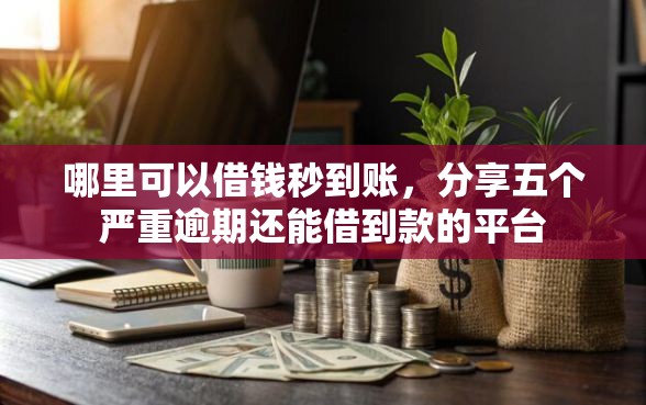 哪里可以借钱秒到账，分享五个严重逾期还能借到款的平台