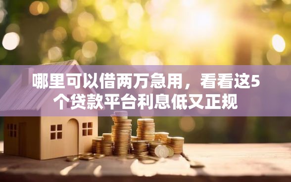 哪里可以借两万急用，看看这5个贷款平台利息低又正规