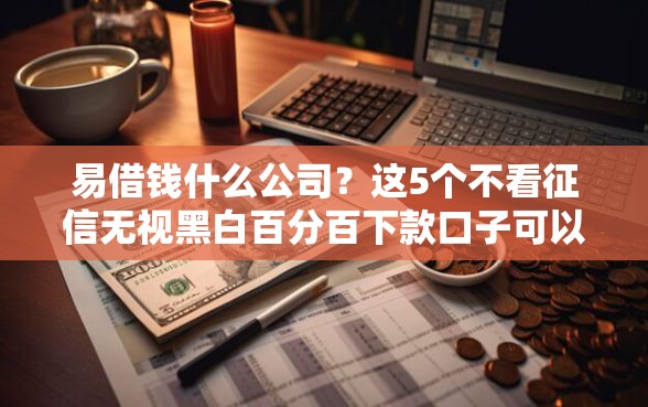 易借钱什么公司？这5个不看征信无视黑白百分百下款口子可以试试