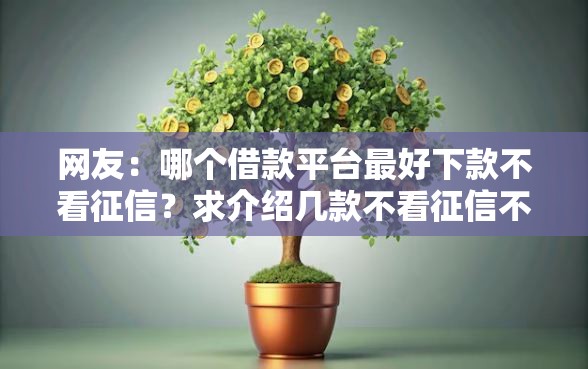 网友：哪个借款平台最好下款不看征信？求介绍几款不看征信不是网贷平台
