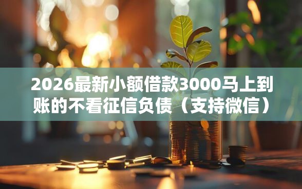 2026最新小额借款3000马上到账的不看征信负债（支持微信），7个二手车贷款平台无私分享
