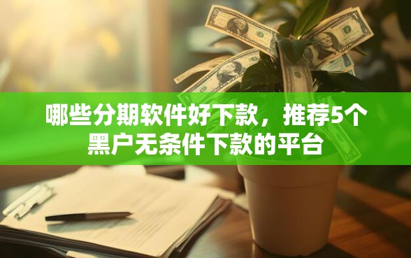 哪些分期软件好下款，推荐5个黑户无条件下款的平台