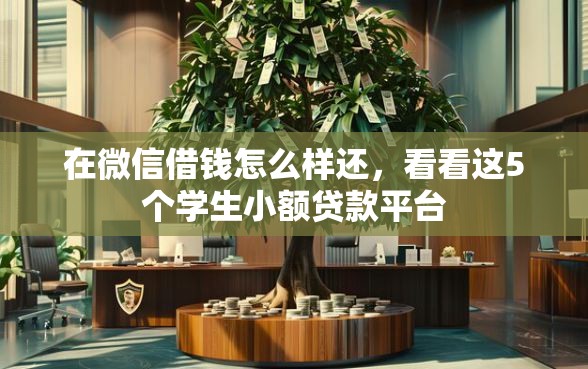 在微信借钱怎么样还，看看这5个学生小额贷款平台