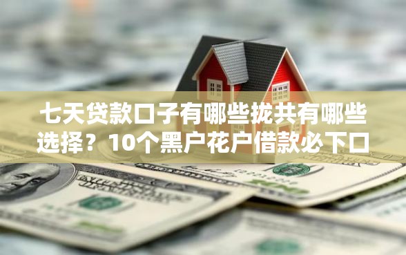 七天贷款口子有哪些拢共有哪些选择？10个黑户花户借款必下口子2025详解
