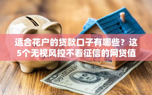 适合花户的贷款口子有哪些？这5个无视风控不看征信的网贷值得一试