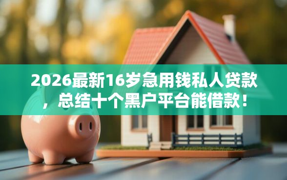 2026最新16岁急用钱私人贷款，总结十个黑户平台能借款！