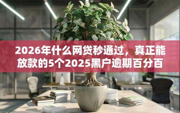 2026年什么网贷秒通过，真正能放款的5个2025黑户逾期百分百能下款的口子推荐