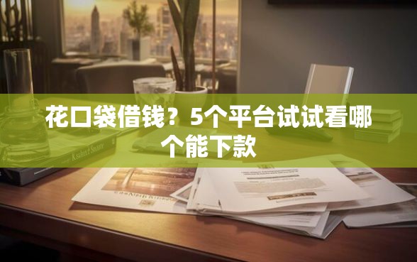 花口袋借钱？5个平台试试看哪个能下款