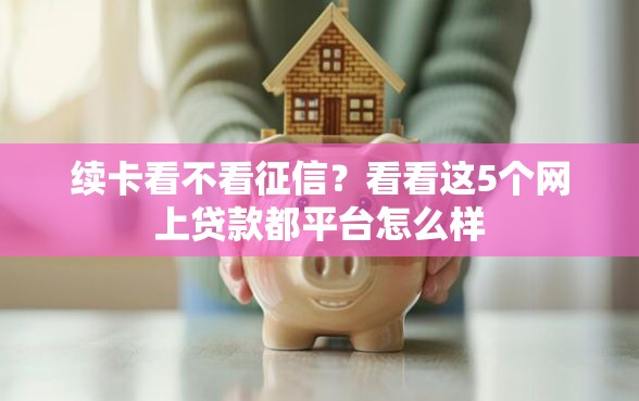 续卡看不看征信？看看这5个网上贷款都平台怎么样
