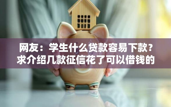 网友：学生什么贷款容易下款？求介绍几款征信花了可以借钱的网贷软件