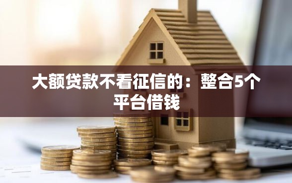 大额贷款不看征信的：整合5个平台借钱