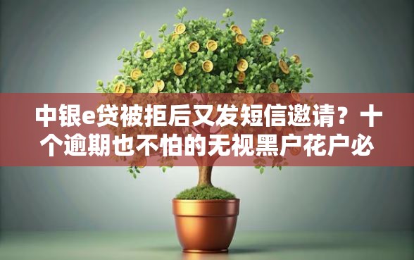 中银e贷被拒后又发短信邀请？十个逾期也不怕的无视黑户花户必下款口子