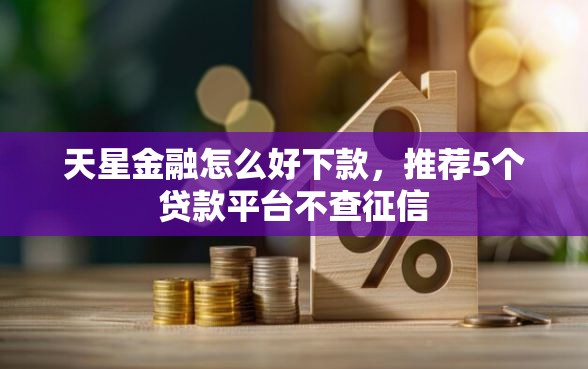 天星金融怎么好下款，推荐5个贷款平台不查征信