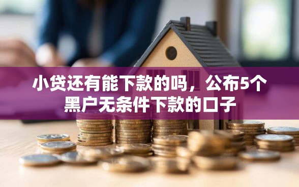 小贷还有能下款的吗，公布5个黑户无条件下款的口子