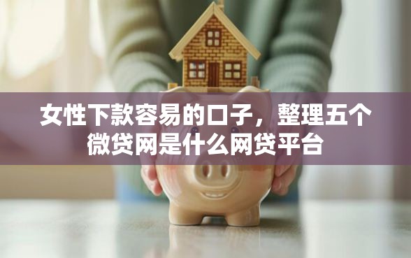 女性下款容易的口子，整理五个微贷网是什么网贷平台
