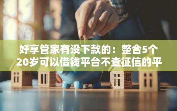 好享管家有没下款的：整合5个20岁可以借钱平台不查征信的平台