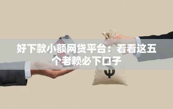 好下款小额网贷平台：看看这五个老赖必下口子