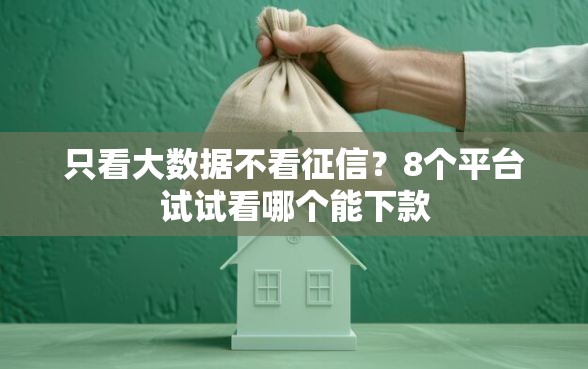 只看大数据不看征信？8个平台试试看哪个能下款