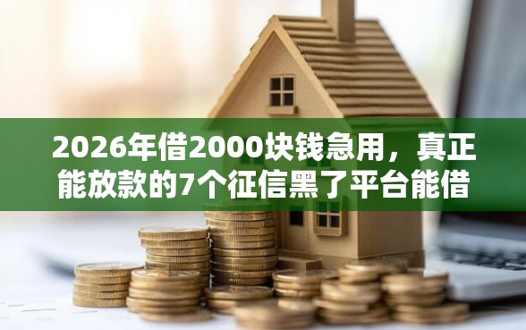 2026年借2000块钱急用，真正能放款的7个征信黑了平台能借到钱推荐