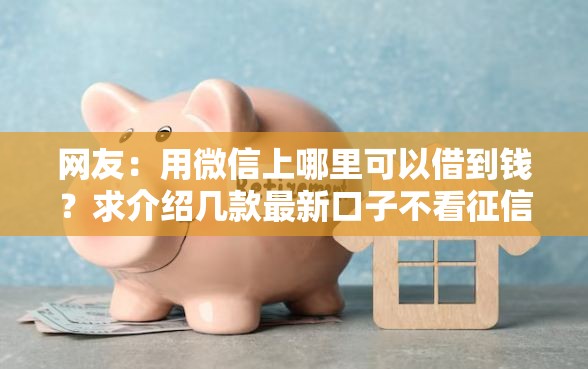 网友：用微信上哪里可以借到钱？求介绍几款最新口子不看征信的