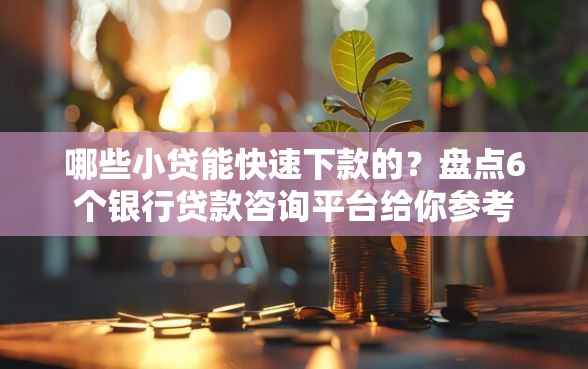 哪些小贷能快速下款的？盘点6个银行贷款咨询平台给你参考