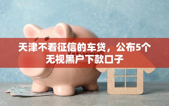 天津不看征信的车贷，公布5个无视黑户下款口子