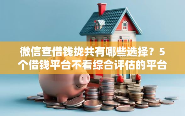 微信查借钱拢共有哪些选择？5个借钱平台不看综合评估的平台详解