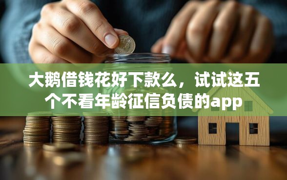 大鹅借钱花好下款么，试试这五个不看年龄征信负债的app