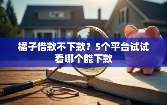 橘子借款不下款？5个平台试试看哪个能下款