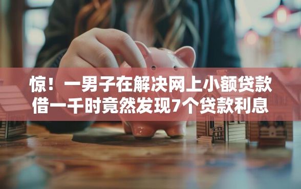 惊！一男子在解决网上小额贷款借一千时竟然发现7个贷款利息最低的平台，事后分享了出来