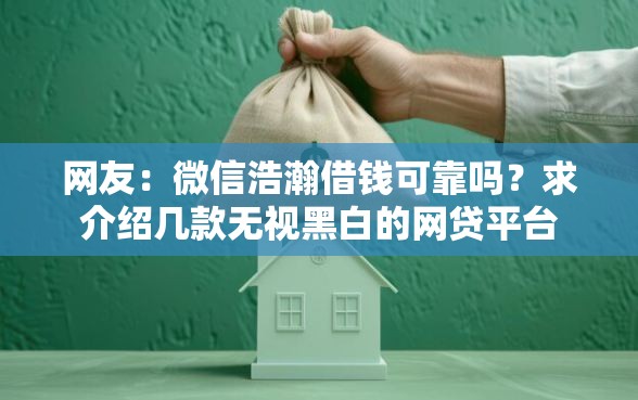 网友：微信浩瀚借钱可靠吗？求介绍几款无视黑白的网贷平台
