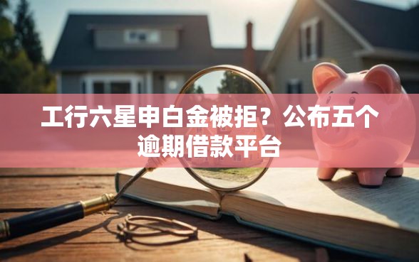 工行六星申白金被拒？公布五个逾期借款平台