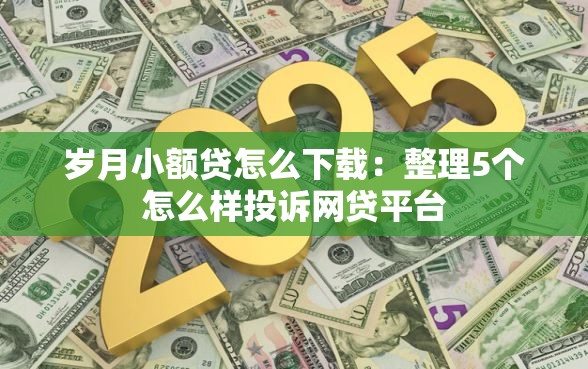 岁月小额贷怎么下载：整理5个怎么样投诉网贷平台