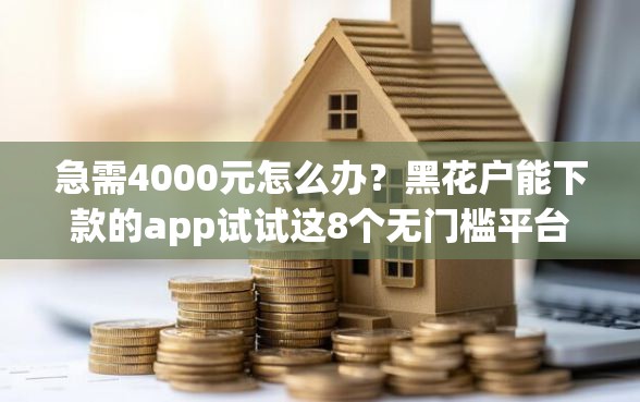 急需4000元怎么办？黑花户能下款的app试试这8个无门槛平台